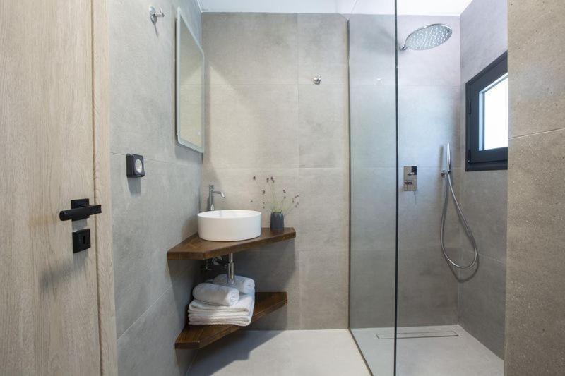 Seascape Villas Vassiliki - Beachfront Villas מראה חיצוני תמונה